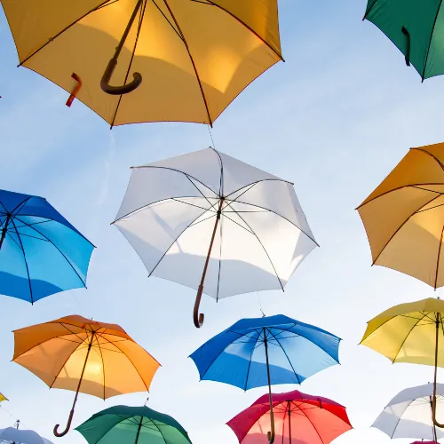 Umbrella